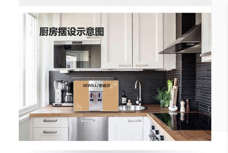 SEWILL/史威尔净水器100G大通量厨房自来水家用办公室纯水净水机