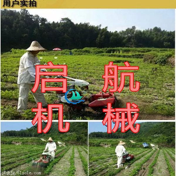草莓基地用打埂机起垄机