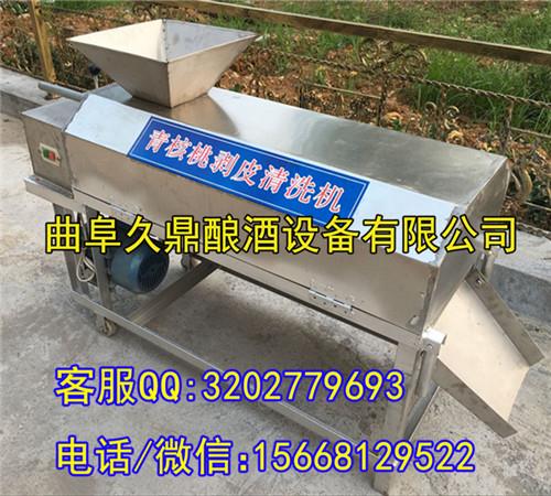 青核桃脱皮机价格
