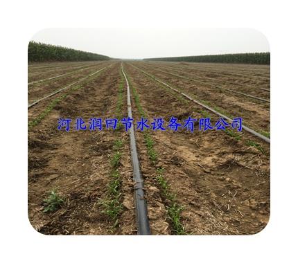 内蒙多种型号聚乙烯软带 塑料滴水带