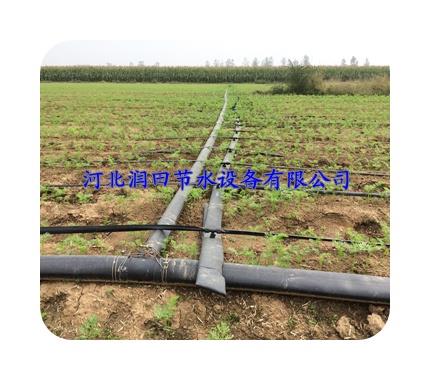 内蒙多种型号聚乙烯软带 塑料滴水带