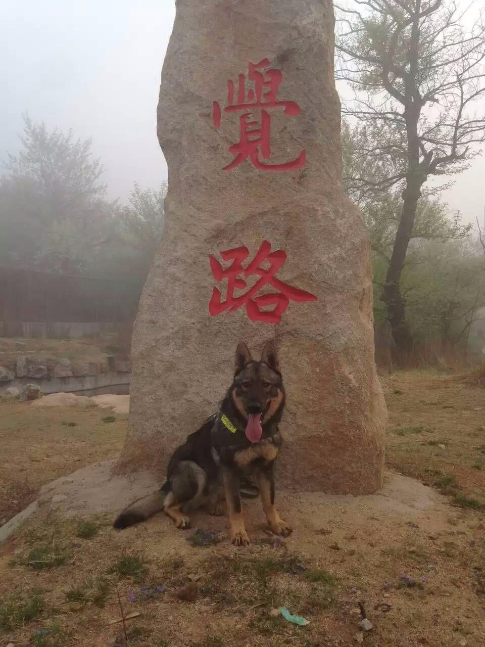 聯繫方式胡經理28244151531346578****山東濟寧市梁山縣徐集鎮期待你