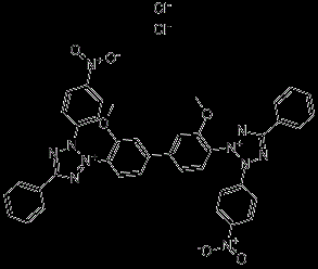 按热门关键词字母分类(h 环氧硝基面漆 氯化硝基四氮唑蓝/氮蓝四唑