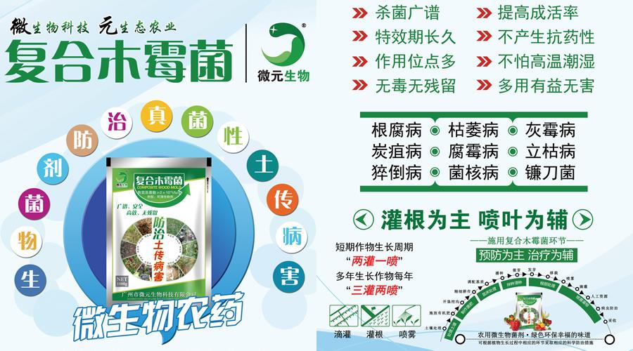 植物真菌病害叶霉病微生物防治病剂土传病害叶霉病特效药