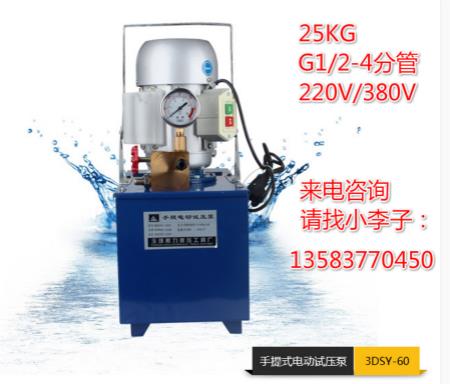 手提式小型电动试压泵厂家价格