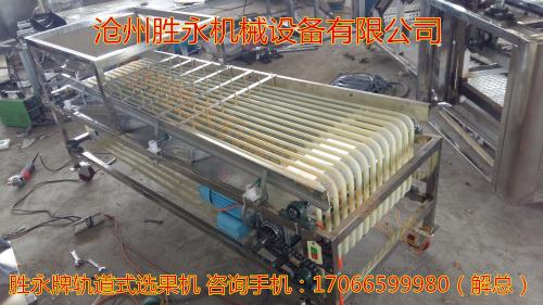 干枣分级机胜永