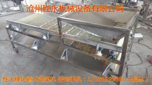 干枣分级机胜永