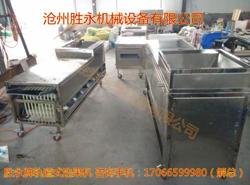 枣子分级机胜永机械
