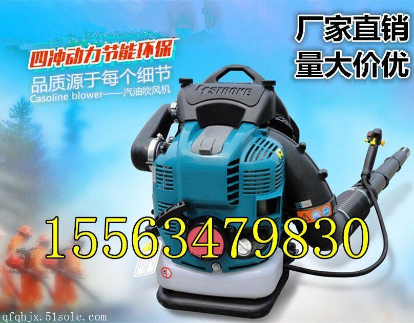 园林工业吹风机 二冲程吹雪机厂家价格