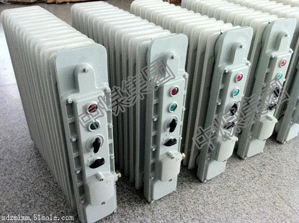 防爆取暖器  127V安全电压电暖器  BDR52电暖器
